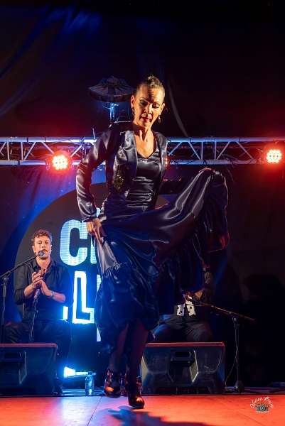 flamenco (108)